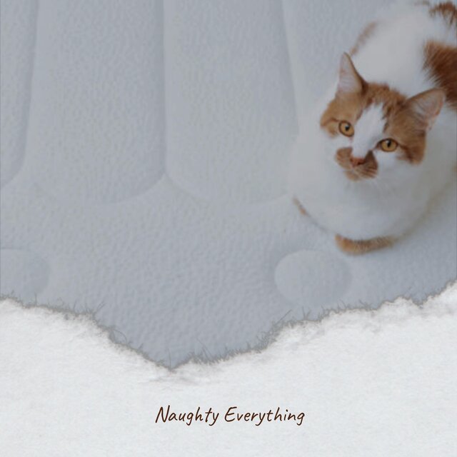 Naughty Everything