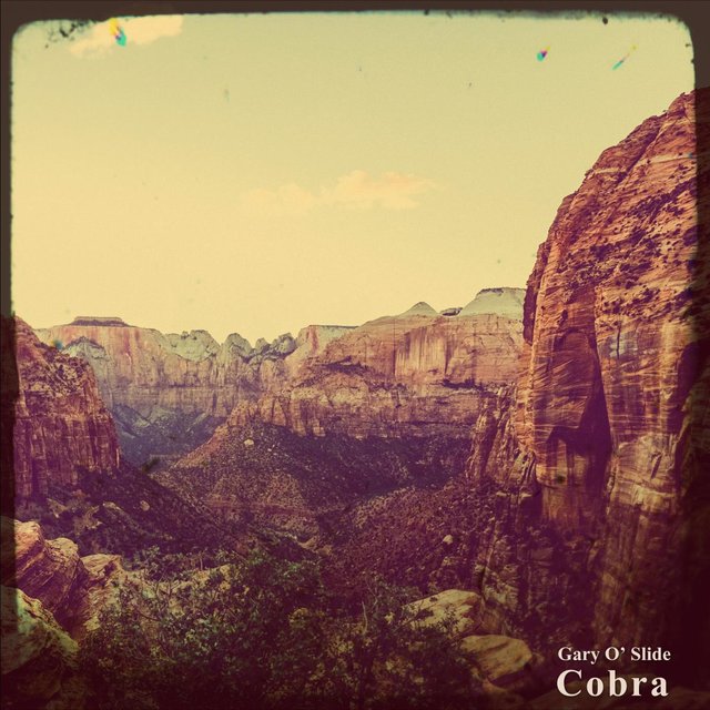 Cobra