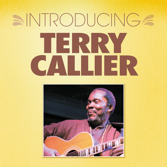 Terry Callier