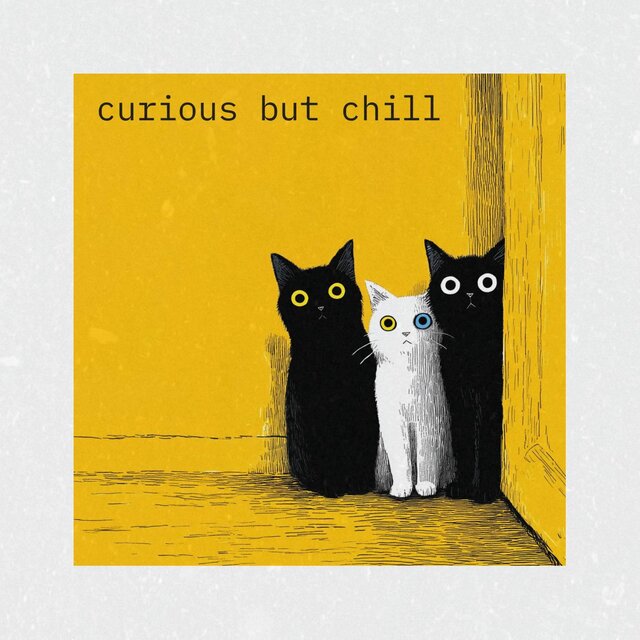 curious but chill