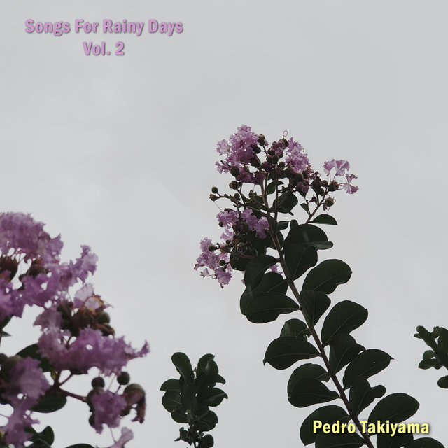 Songs for Rainy Days, Vol. 2
