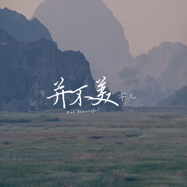 並不美