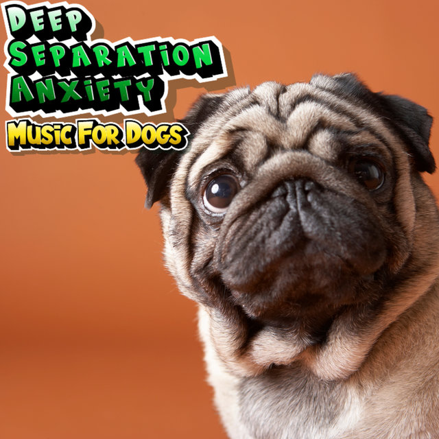 Calming Music For Dogs & Puppies With Anxiety
