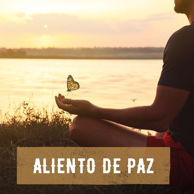 Aliento de Paz: Vibraciones de Sanación y Meditación Profunda
