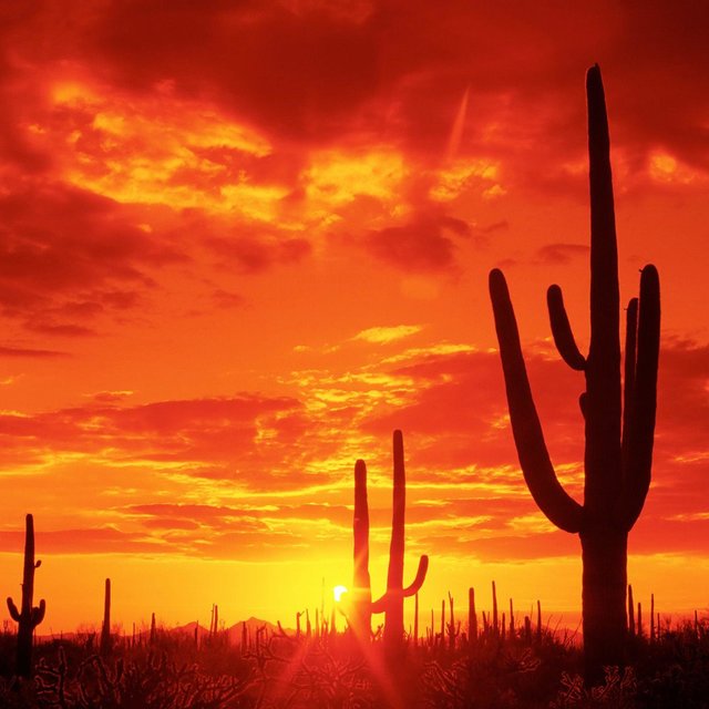 Sunset