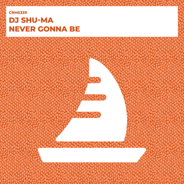 Never Gonna Be