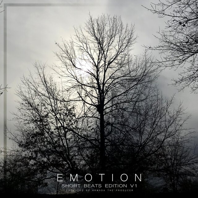 Emotion V1 [Short Beat Edition]