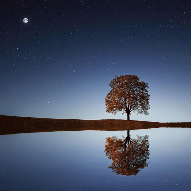 MoonLight