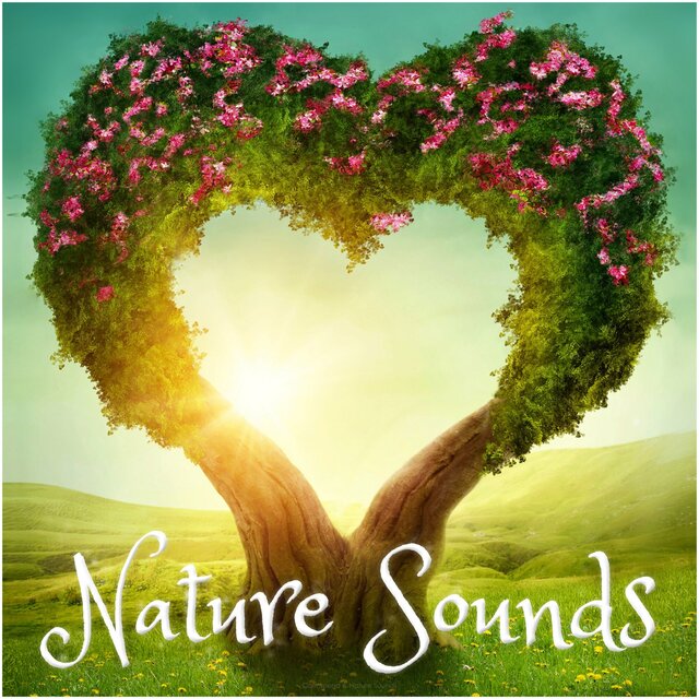 Love Nature Sounds