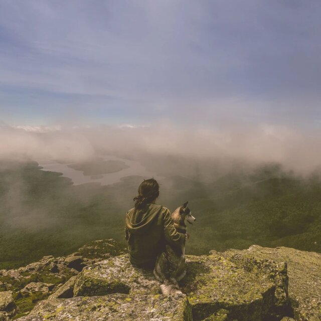 Latidos de la Naturaleza