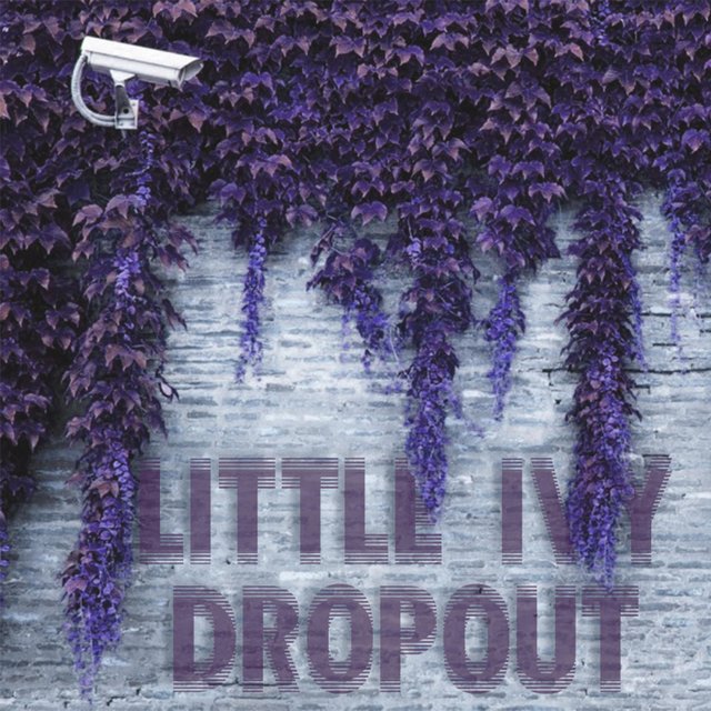 Little Ivy Dropout