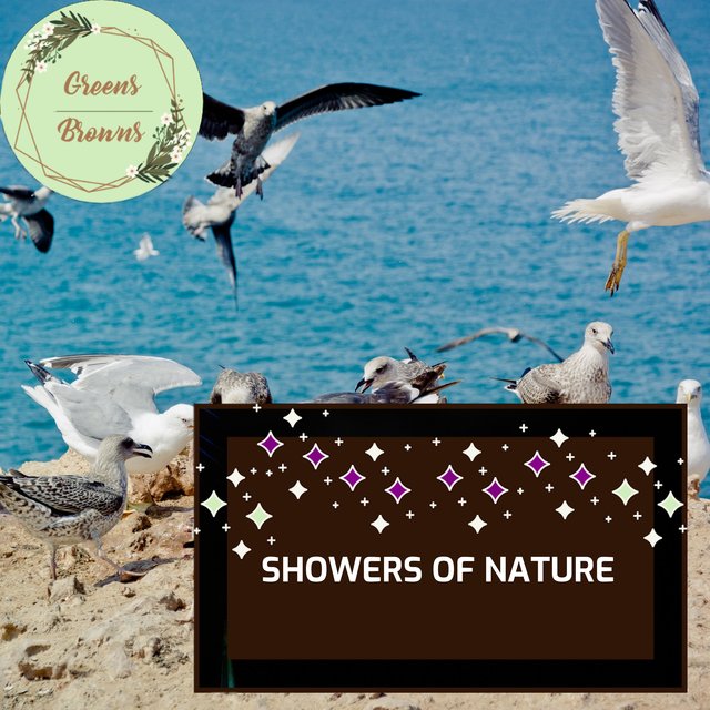 Showers of Nature