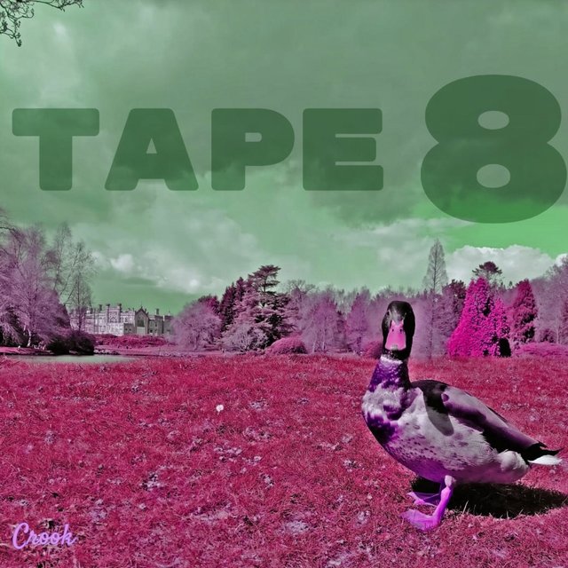 TAPE 8
