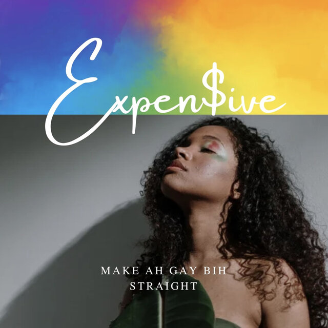 Make Ah Gay Bih Straight