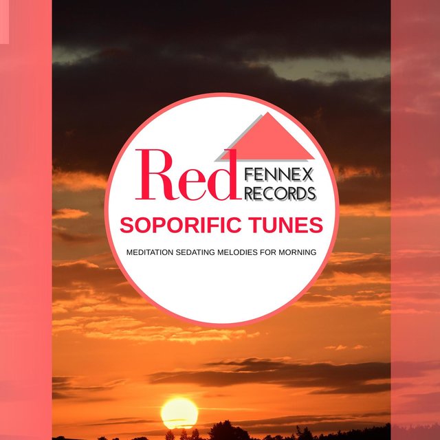 Soporific Tunes - Meditation Sedating Melodies For Morning