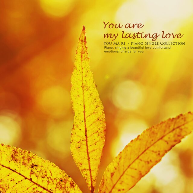 You are my last love