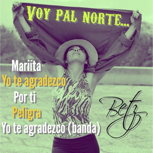 Voy Pal Norte