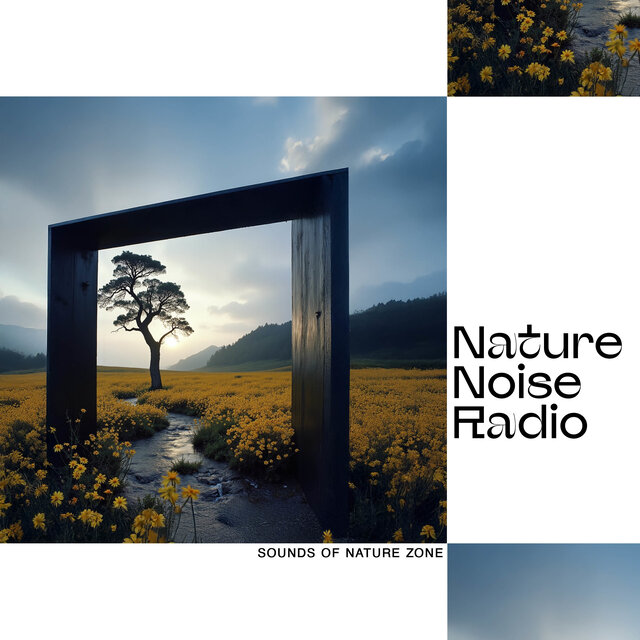Nature Noise Radio
