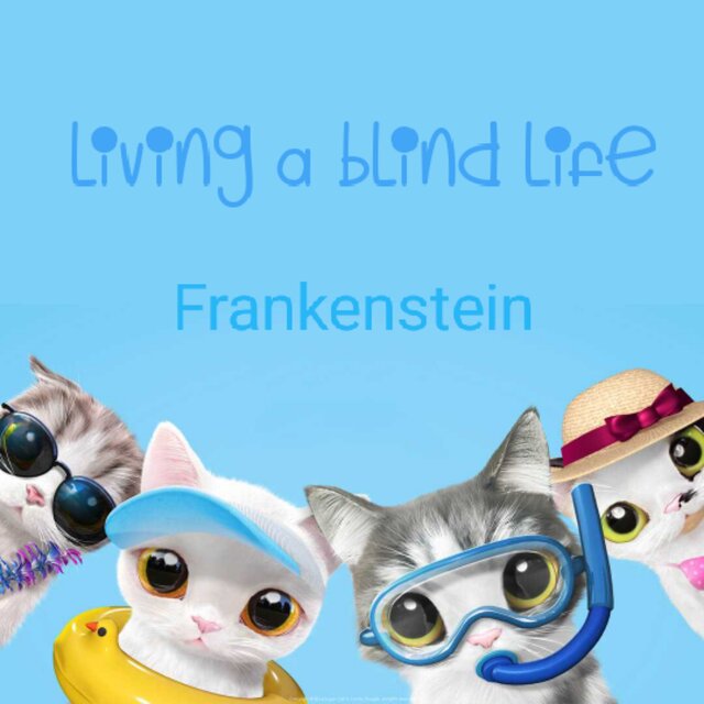 Living a blind life (Instrumental Version)