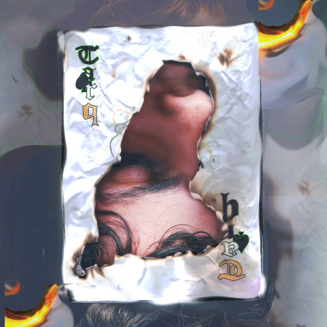 Made Of Plastic / Missy Misschief