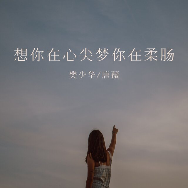 想你在心尖梦你在柔肠