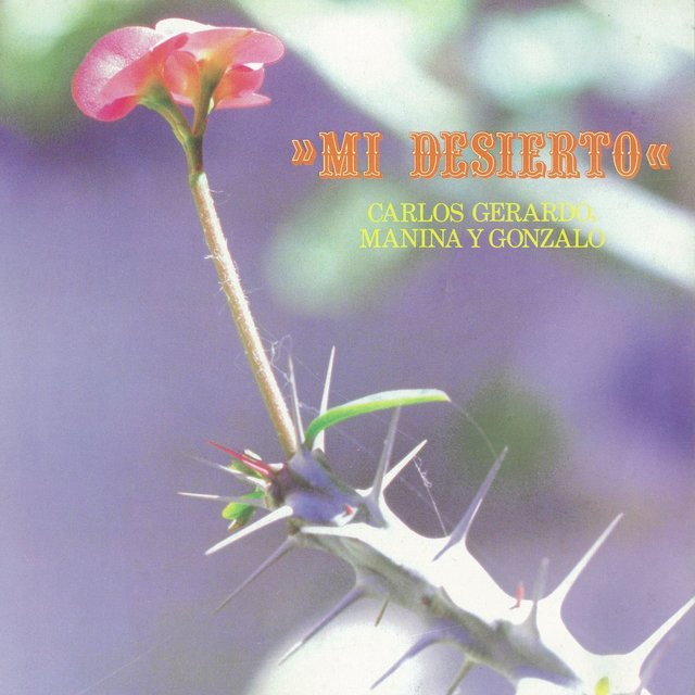 Mi Desierto