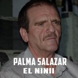 Palma Salazar