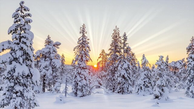 Moon winter