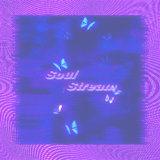 Soul Stream梦洛魂归