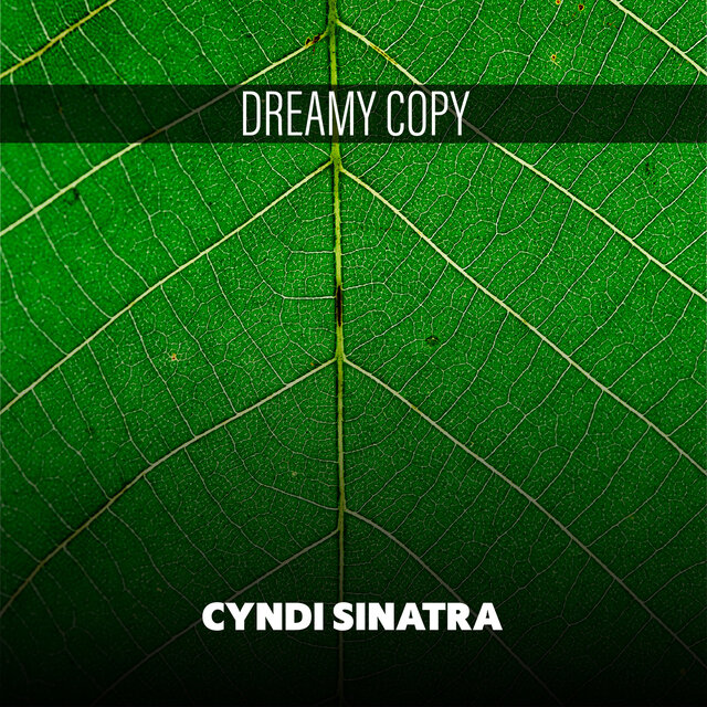 Dreamy Copy