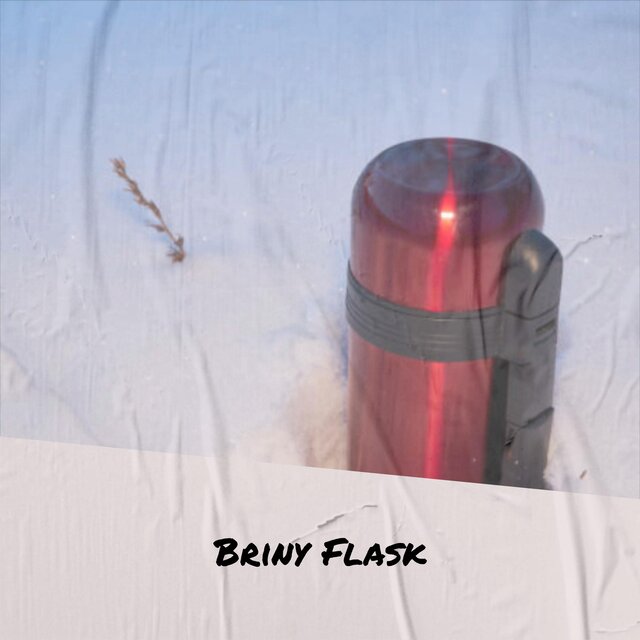 Briny Flask