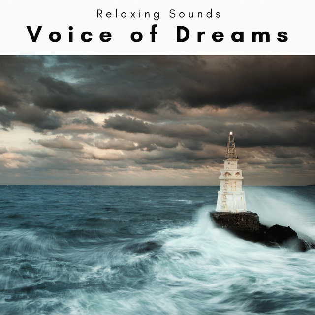 2022 Voice of Dreams