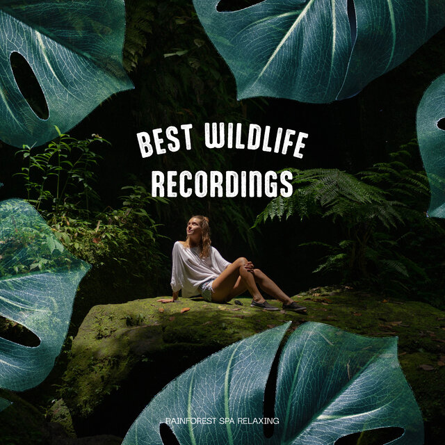 Best Wildlife Recordings