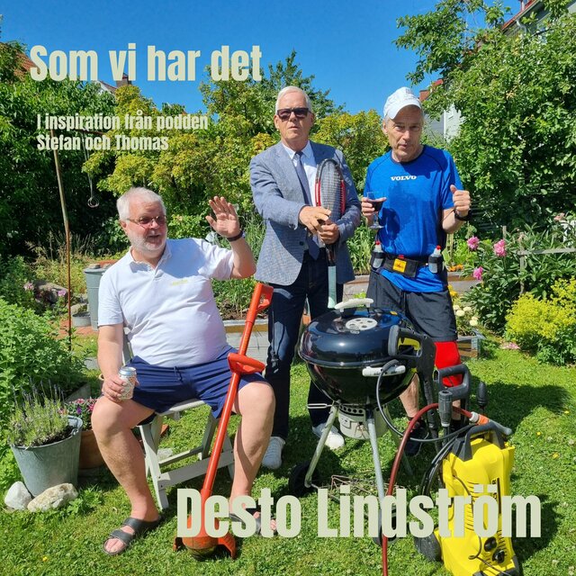 Cover art for album Som vi har det by Desto Lindström