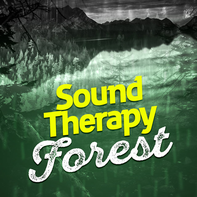 Sound Therapy - Forest