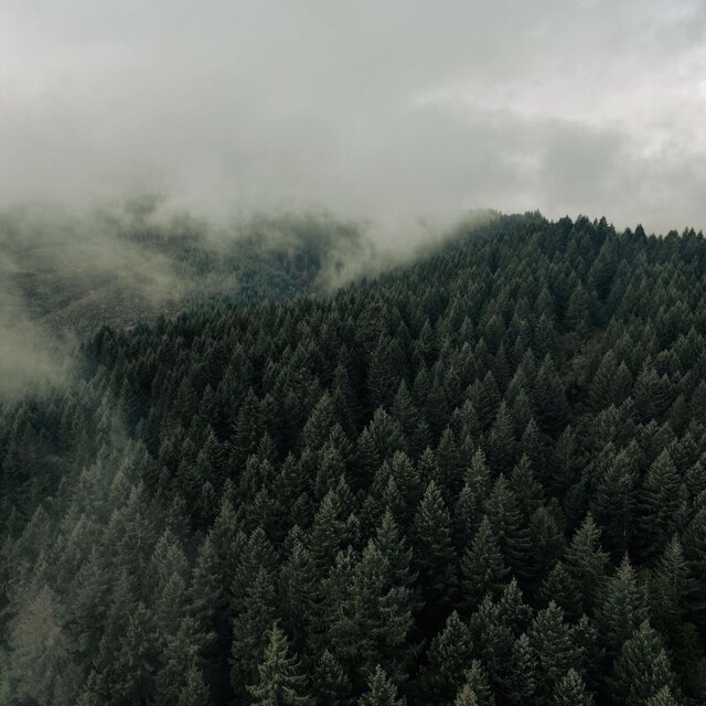 Dreamy Rain