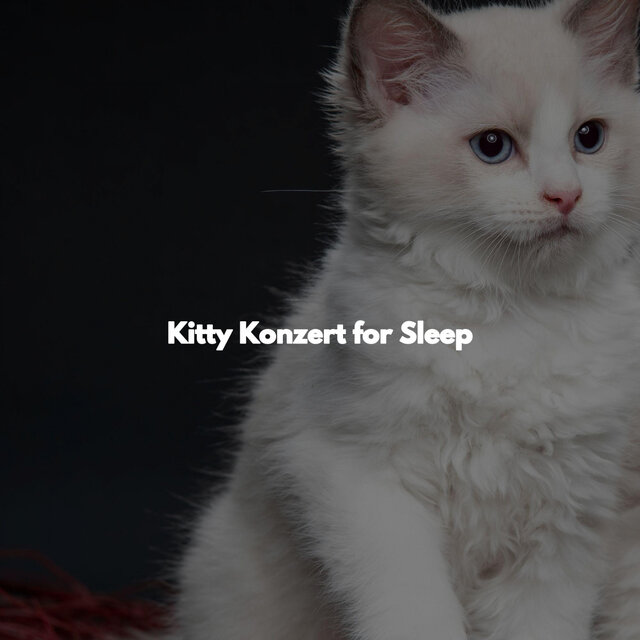 Kitty Konzert for Sleep