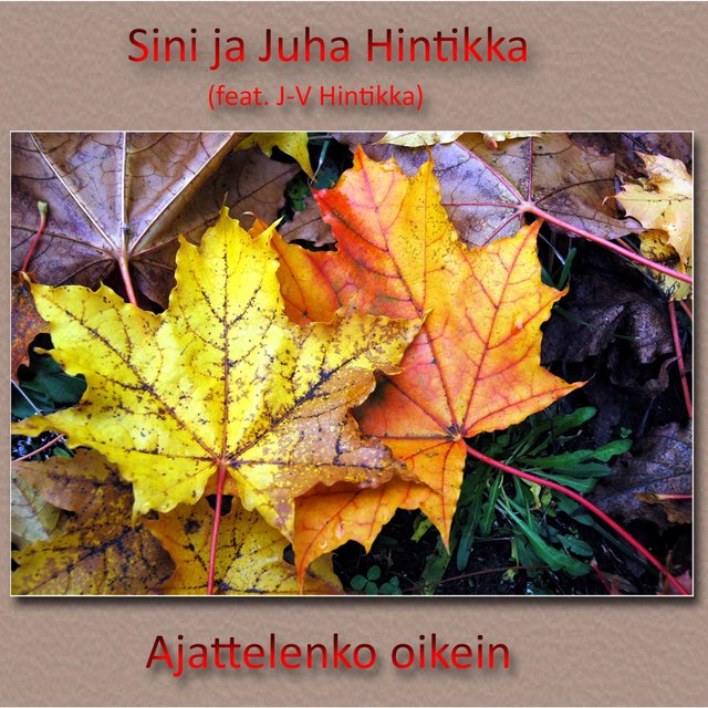 Ajattelenko oikein