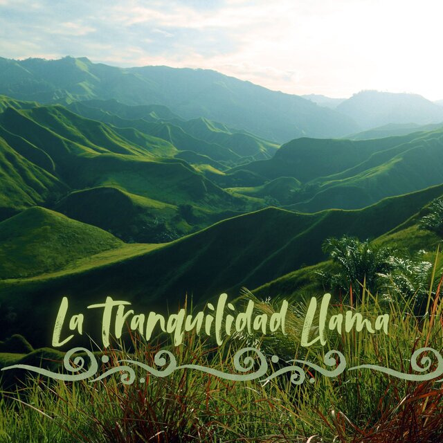 La Tranquilidad Llama