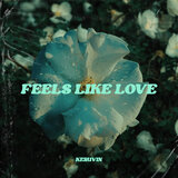 Feels Like Love (Extended Mix)