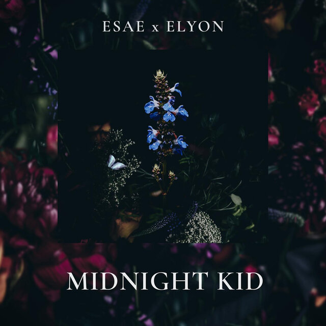 Midnight Kid