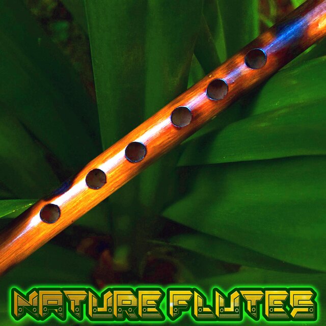 Nature Flutes (Relaxation, Healing, Meditation, Yoga, Focus)
