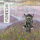 Cover art for album No Supine by The Munch