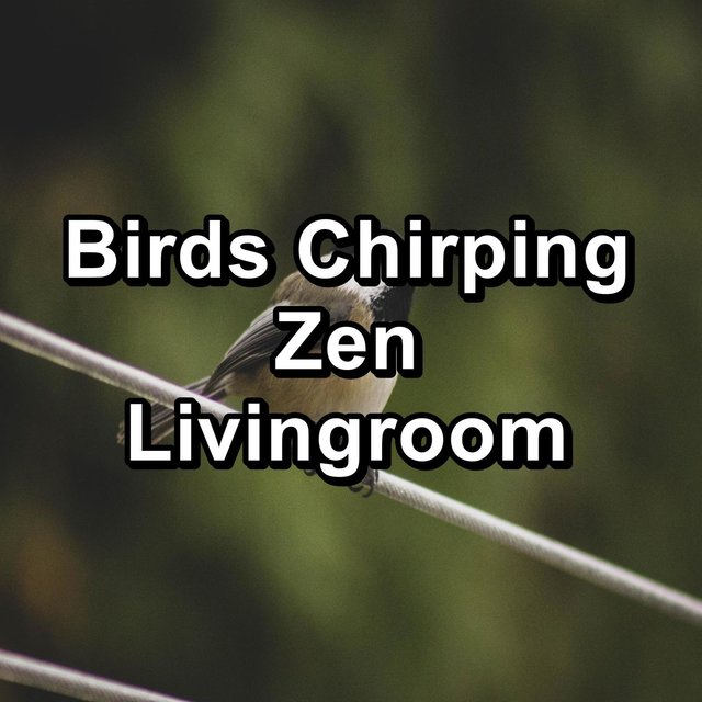 Birds Chirping Zen Livingroom