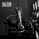 Cover art for album Sous la fourrure by Dalton Telegramme