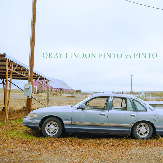 Cover art for album Pinto vs Pinto by Okay Lindon