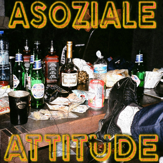 Asoziale Attitüde