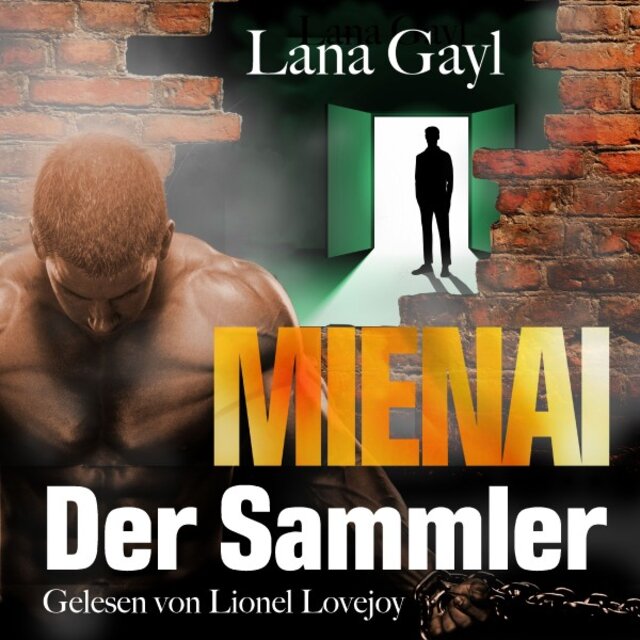 Mienai - Der Sammler (Gay Crime)