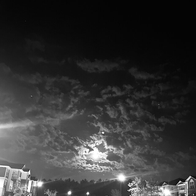 Lights Low