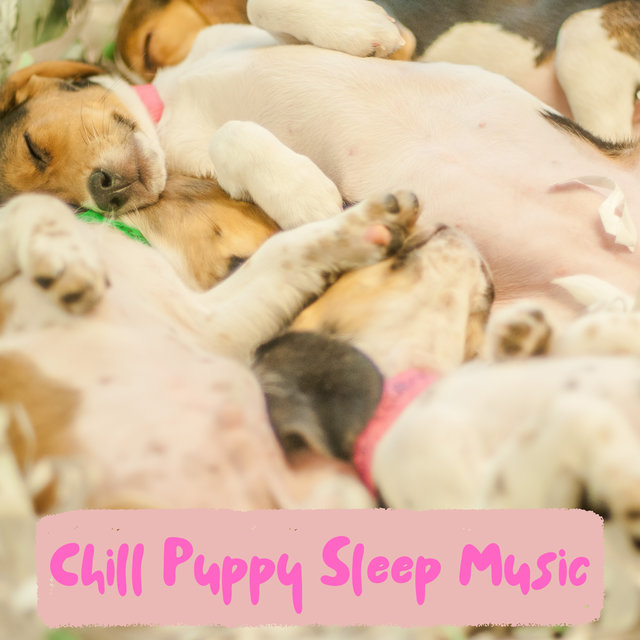 Calming Chill Sleep Music For Puppies